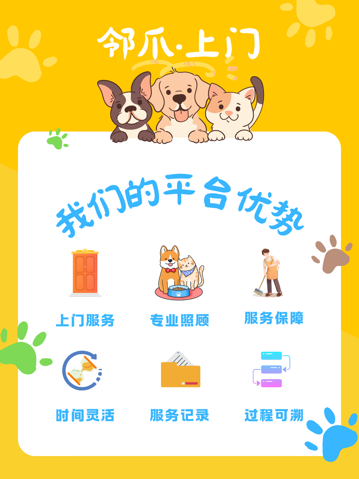 猫咪护理