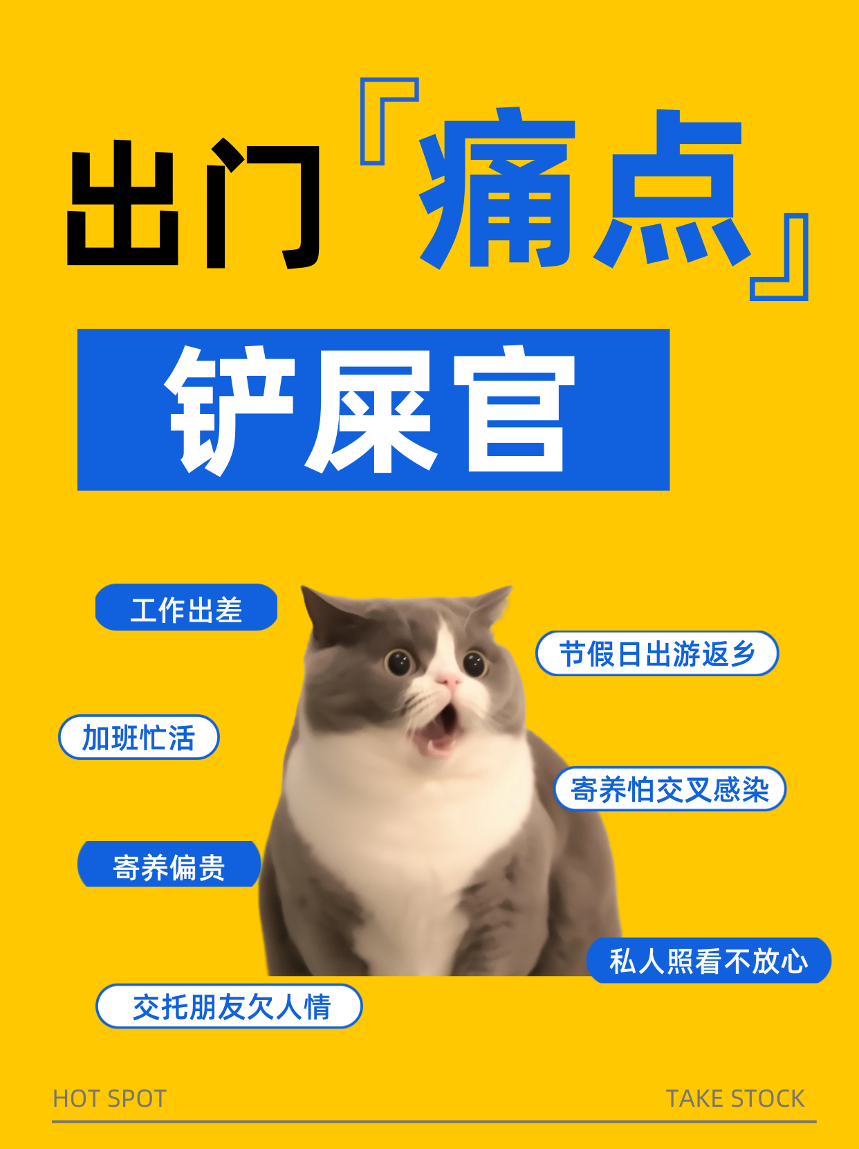 猫咪护理