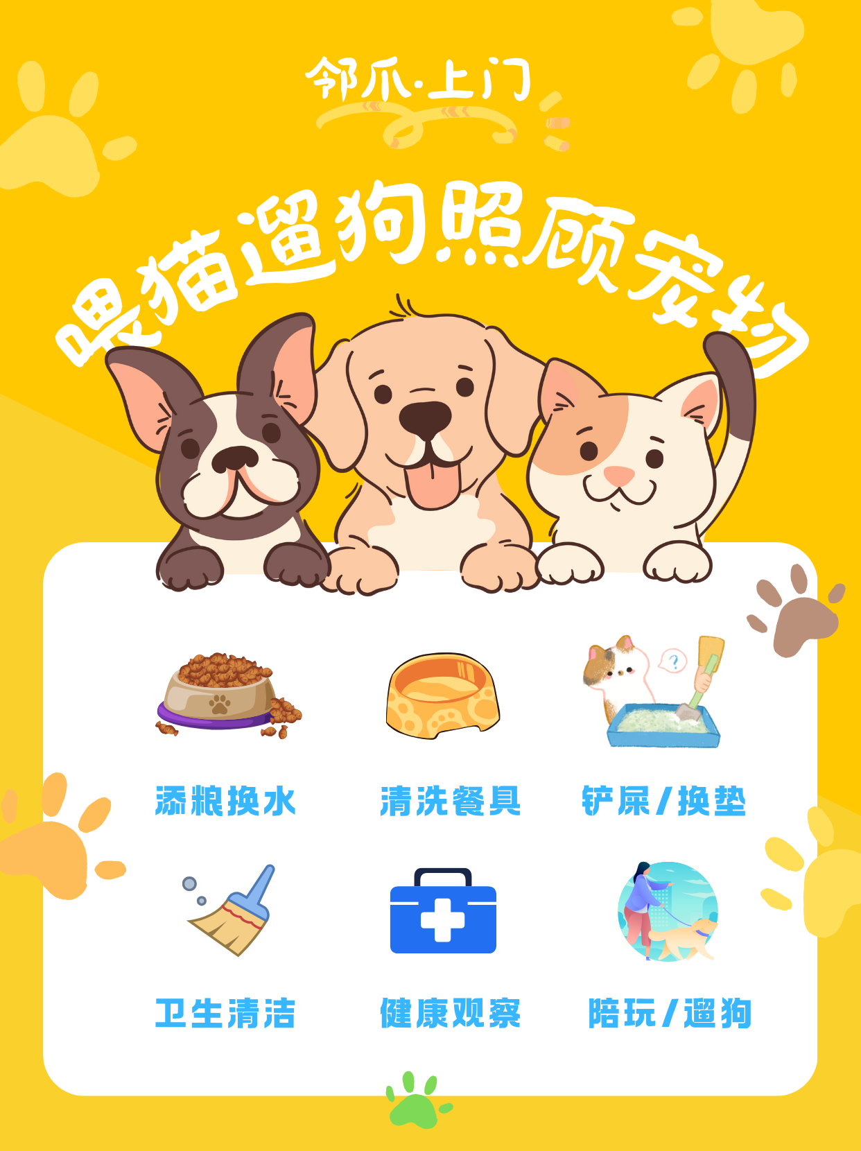 猫咪护理